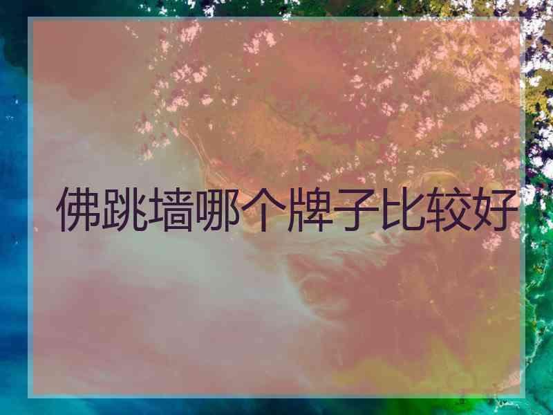 佛跳墙哪个牌子比较好