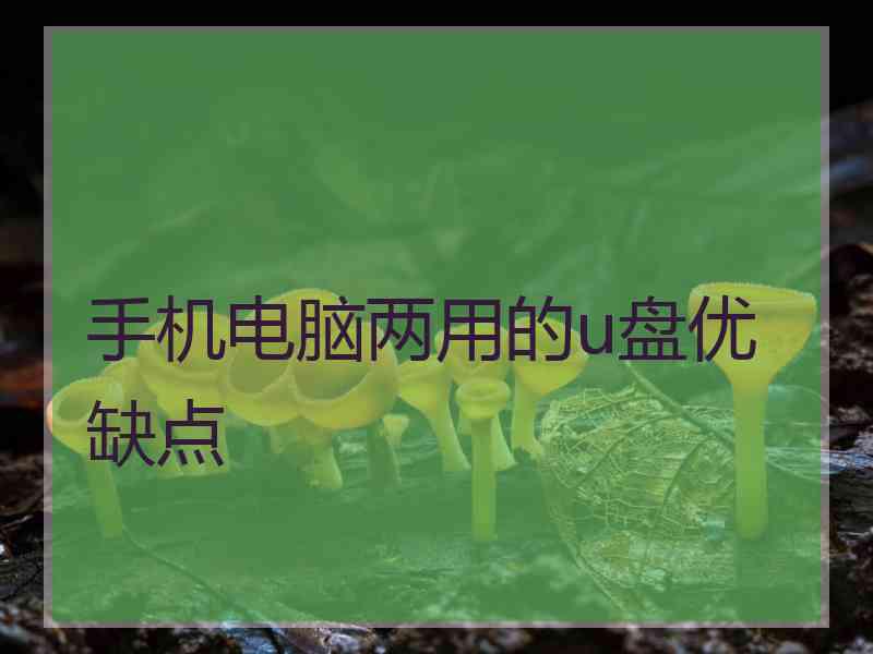 手机电脑两用的u盘优缺点
