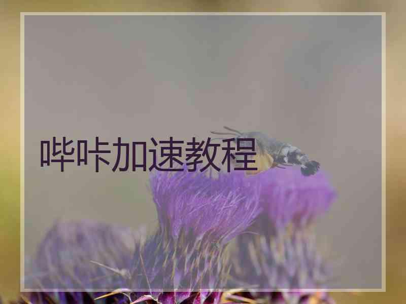 哔咔加速教程