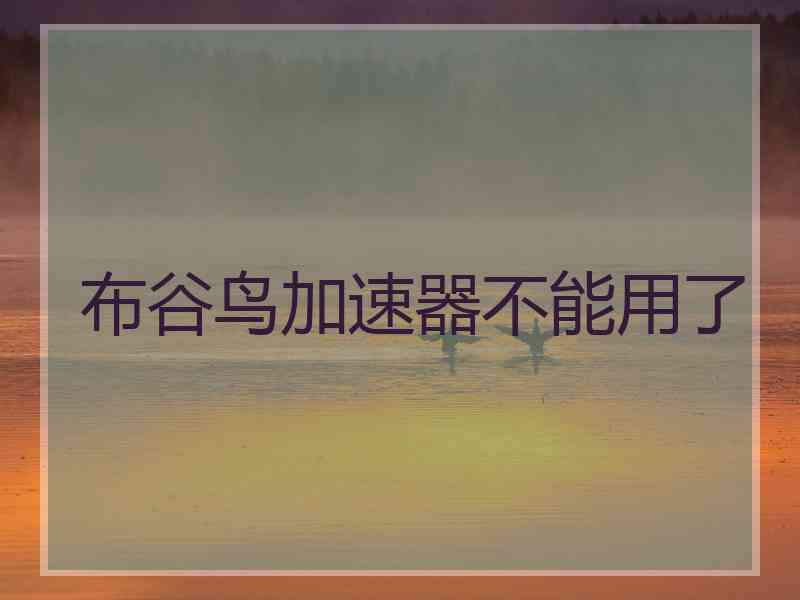 布谷鸟加速器不能用了