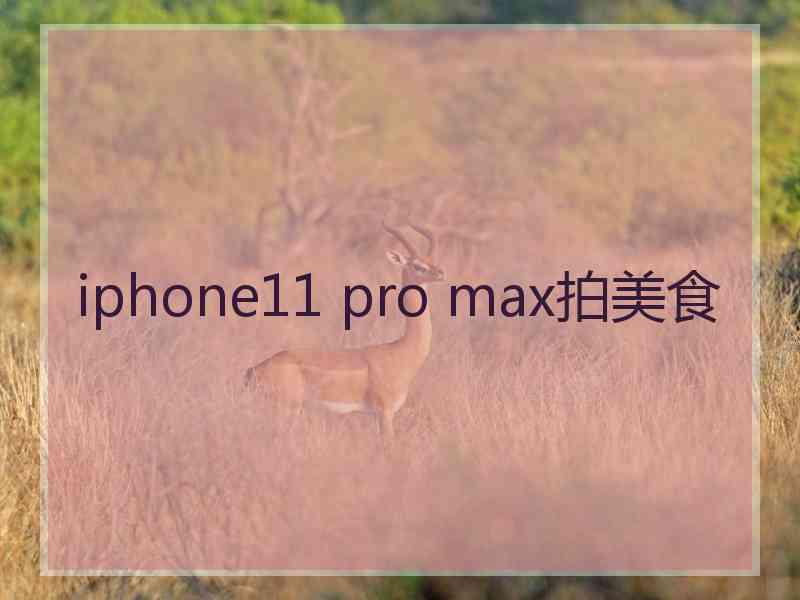 iphone11 pro max拍美食