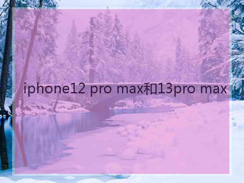 iphone12 pro max和13pro max