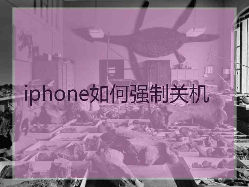 iphone如何强制关机