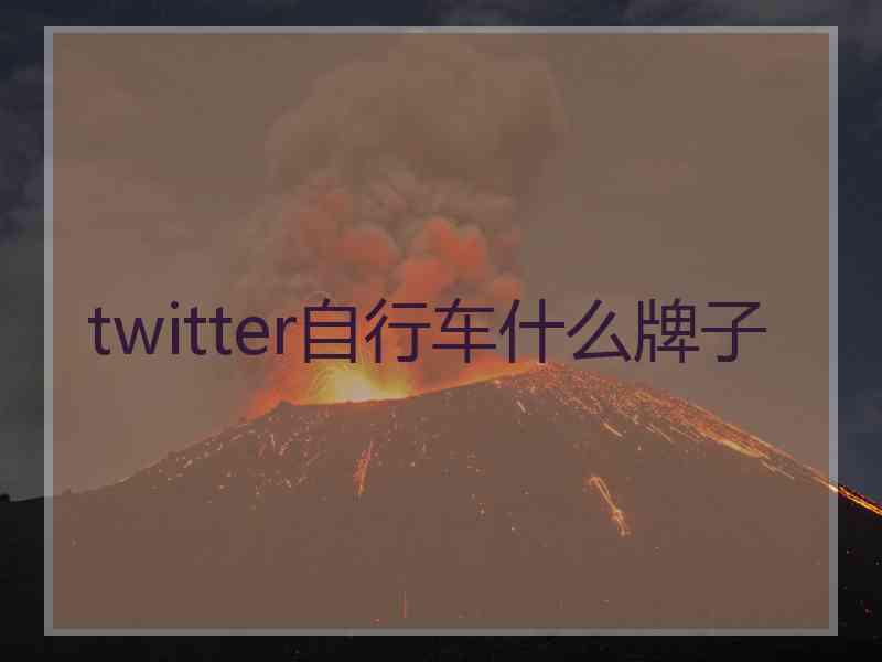 twitter自行车什么牌子