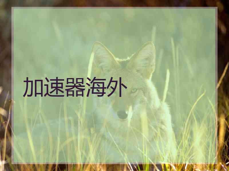 加速器海外