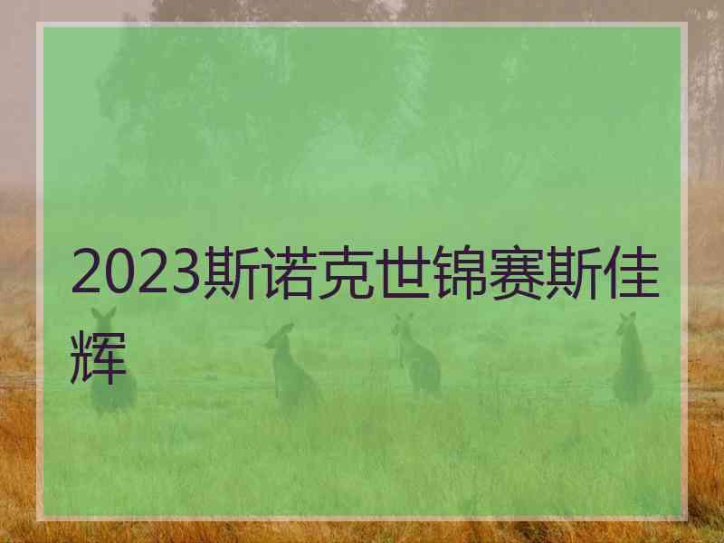 2023斯诺克世锦赛斯佳辉