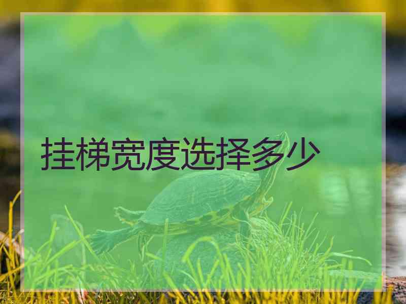 挂梯宽度选择多少