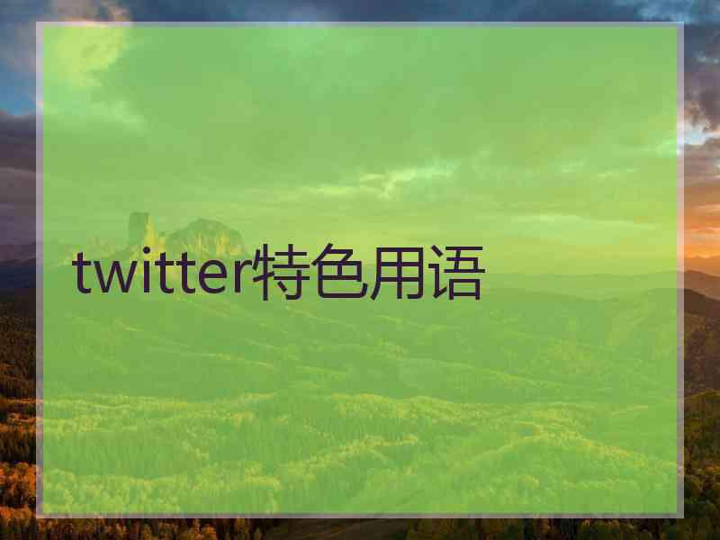 twitter特色用语