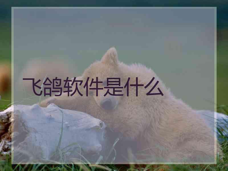飞鸽软件是什么