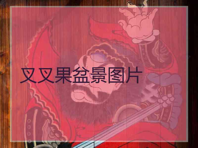 叉叉果盆景图片