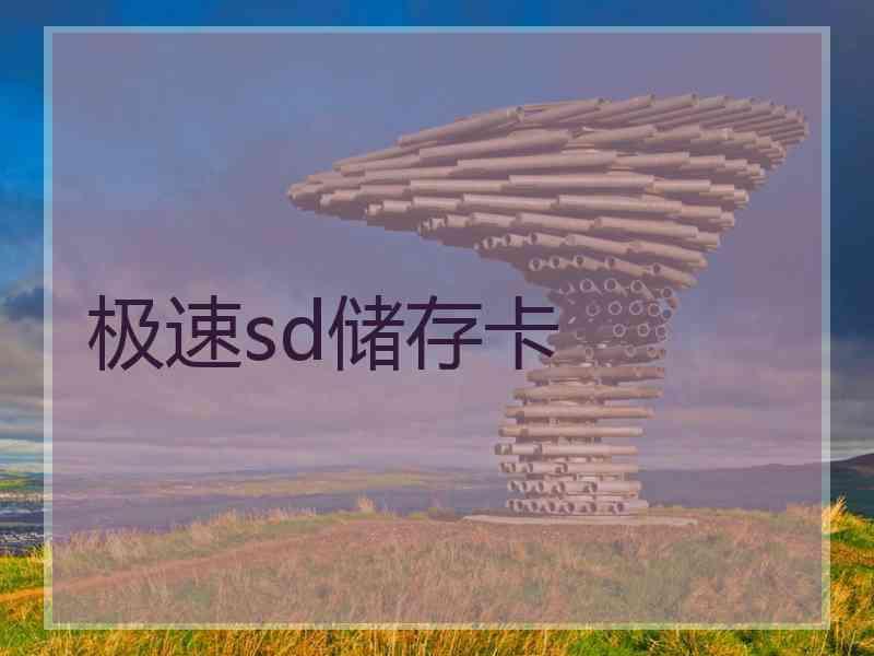 极速sd储存卡