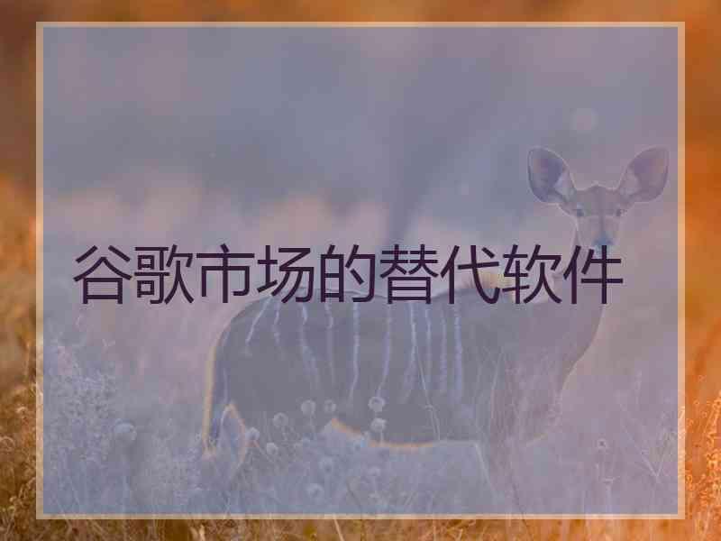 谷歌市场的替代软件