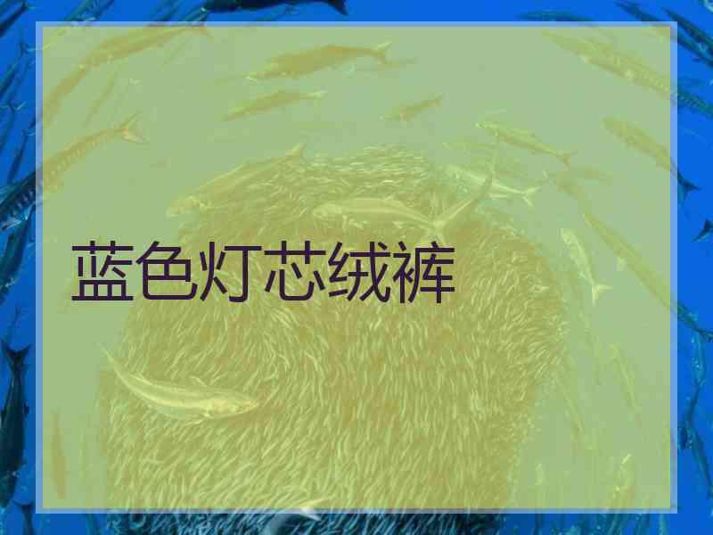 蓝色灯芯绒裤