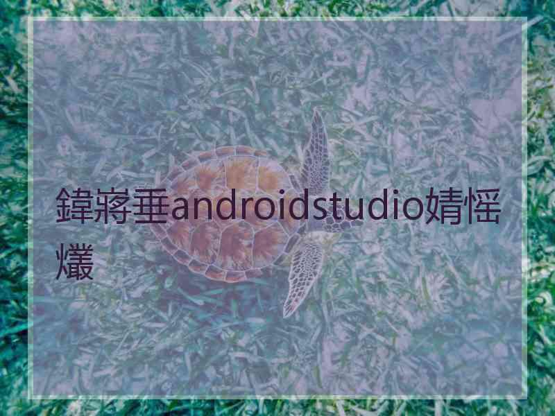 鍏嶈垂androidstudio婧愮爜