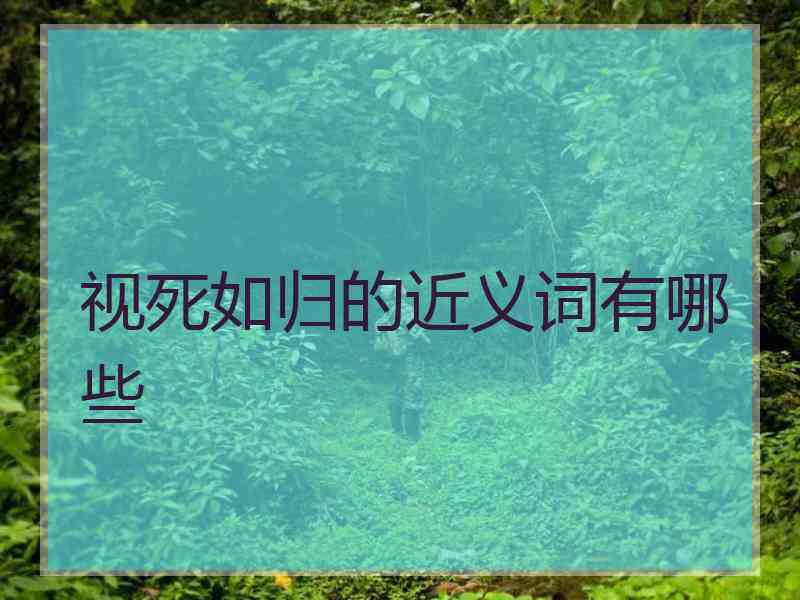 视死如归的近义词有哪些