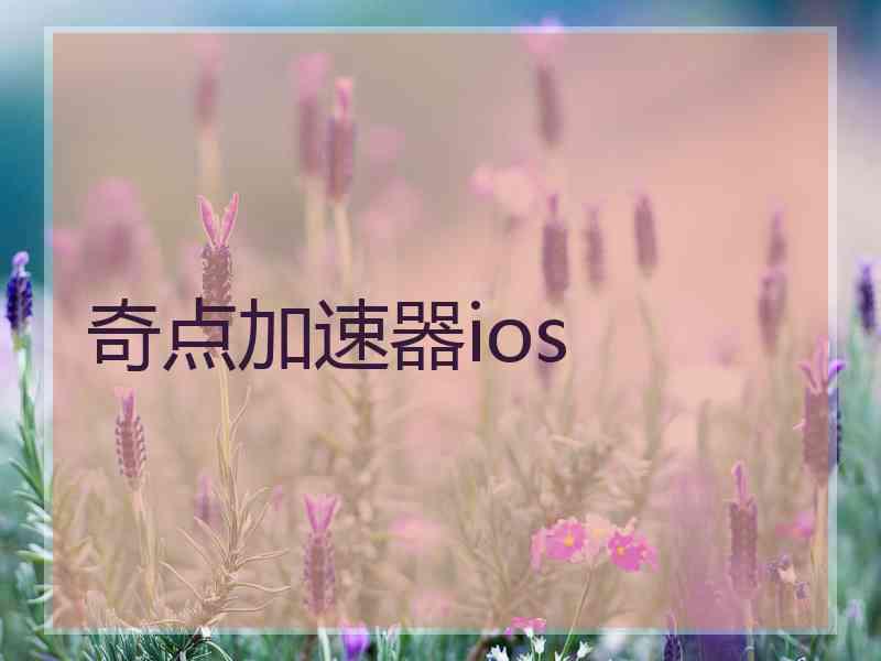 奇点加速器ios