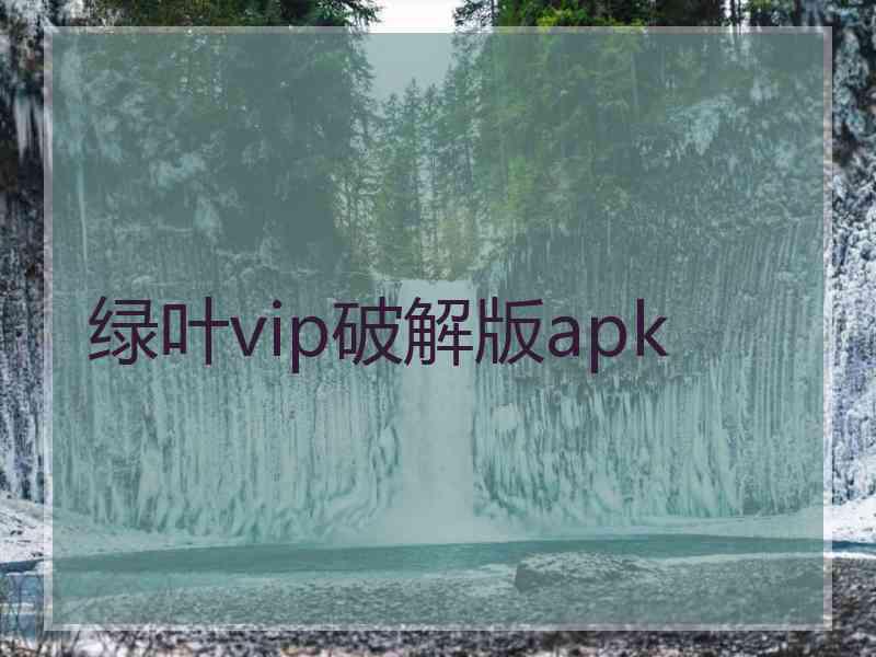 绿叶vip破解版apk