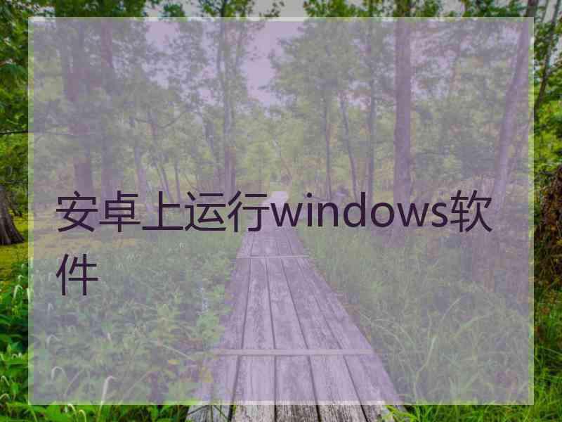 安卓上运行windows软件