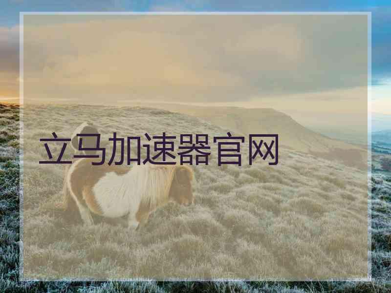 立马加速器官网