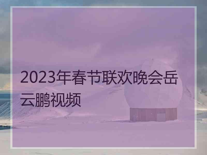 2023年春节联欢晚会岳云鹏视频