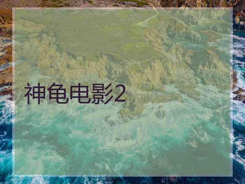 神龟电影2
