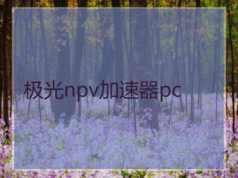 极光npv加速器pc