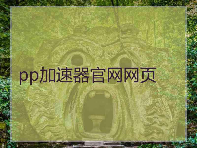 pp加速器官网网页