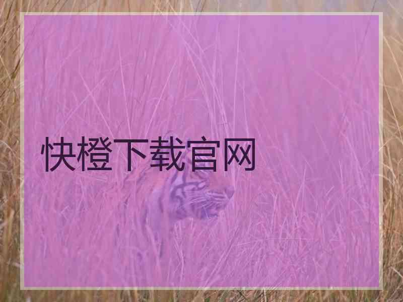 快橙下载官网