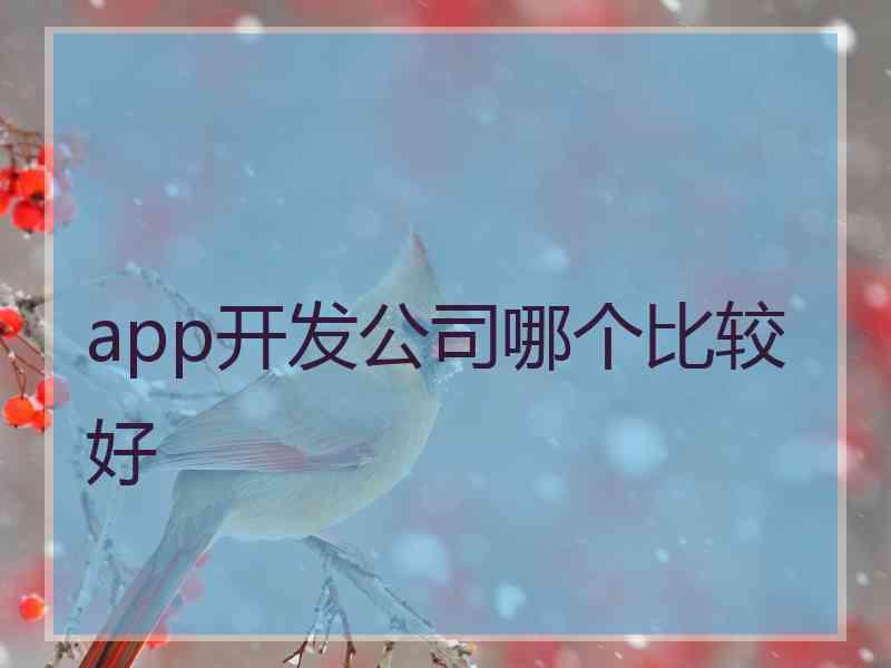 app开发公司哪个比较好