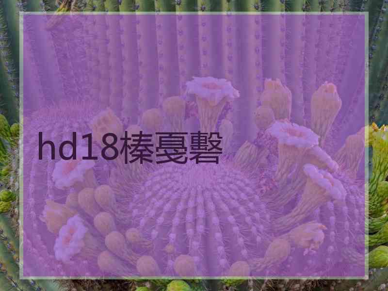 hd18榛戞礊