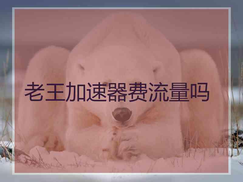 老王加速器费流量吗