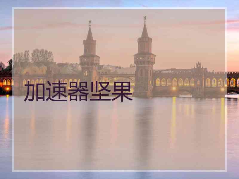 加速器坚果