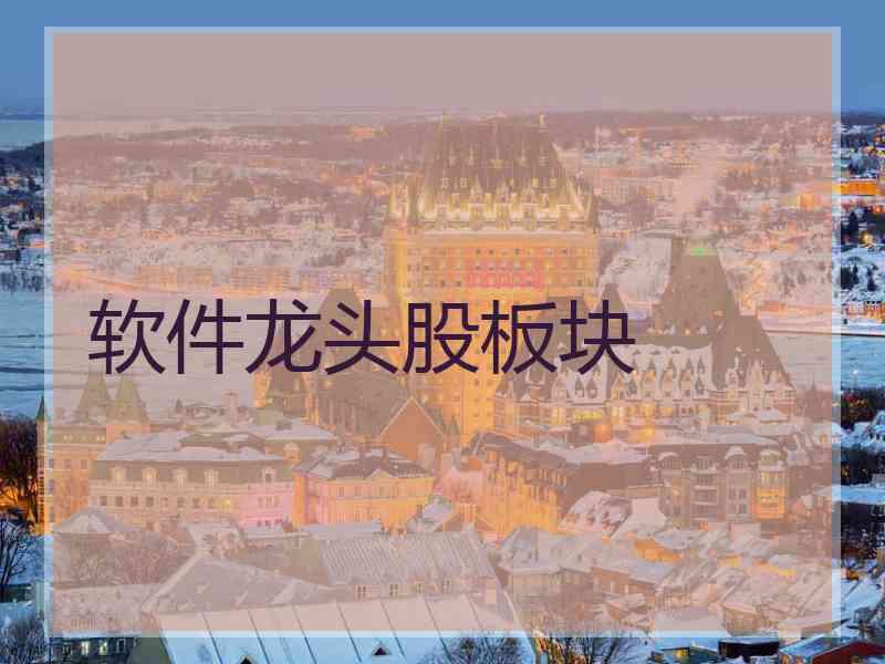 软件龙头股板块