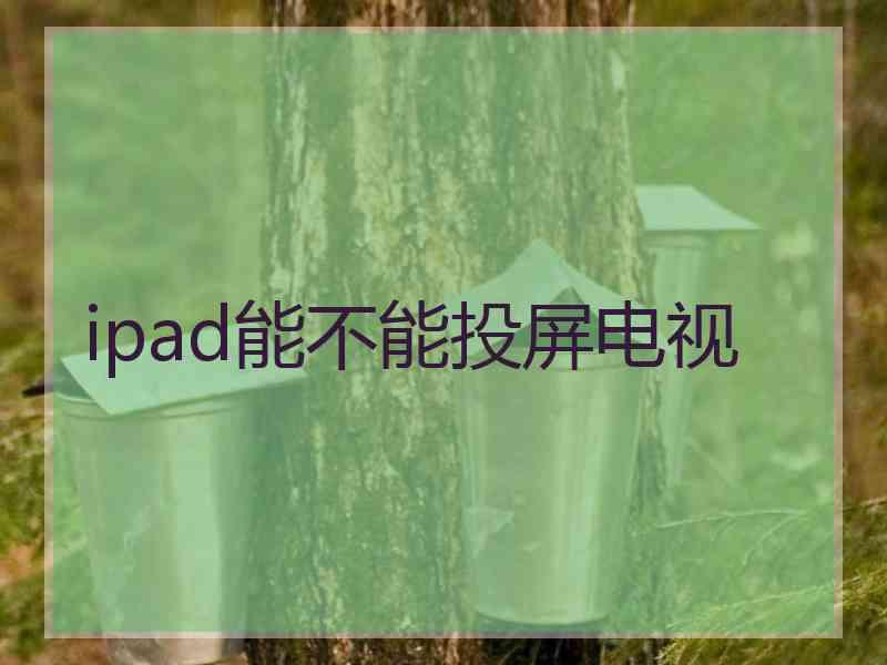 ipad能不能投屏电视