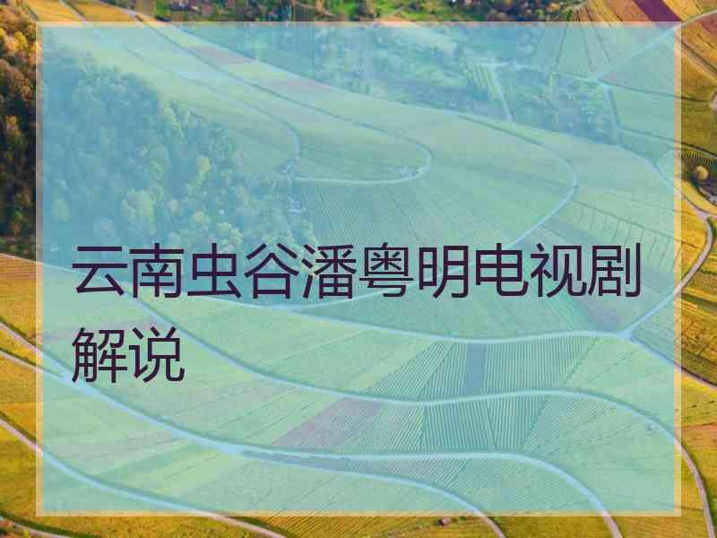 云南虫谷潘粤明电视剧解说