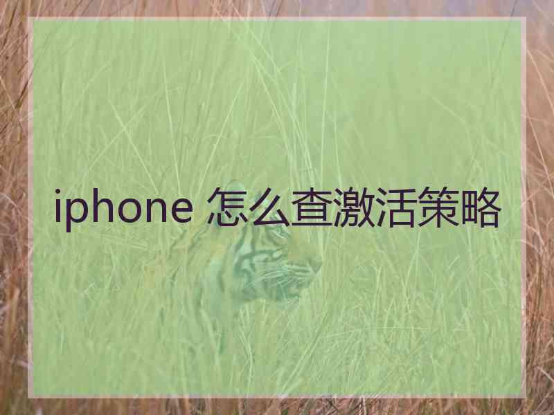 iphone 怎么查激活策略