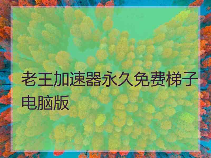 老王加速器永久免费梯子电脑版