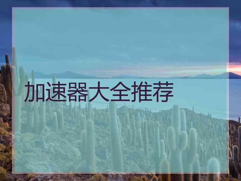加速器大全推荐