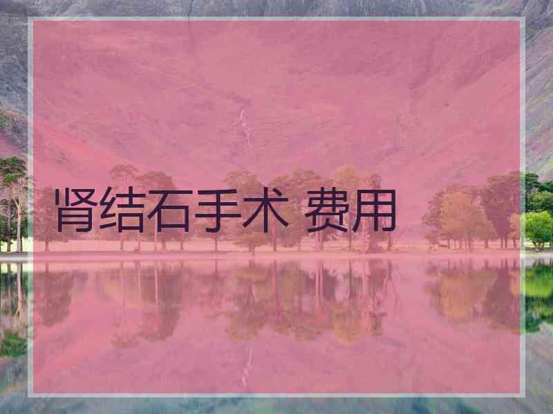 肾结石手术 费用