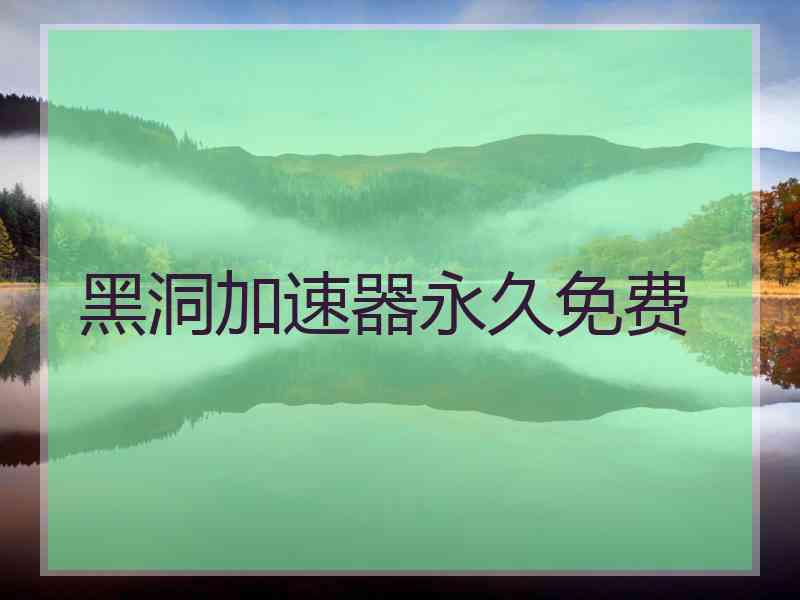 黑洞加速器永久免费