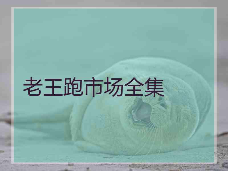 老王跑市场全集