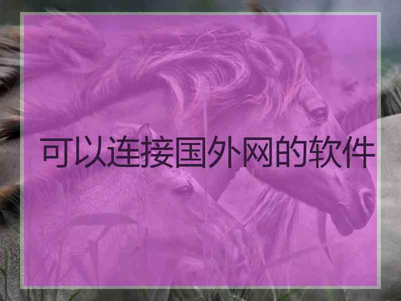 可以连接国外网的软件