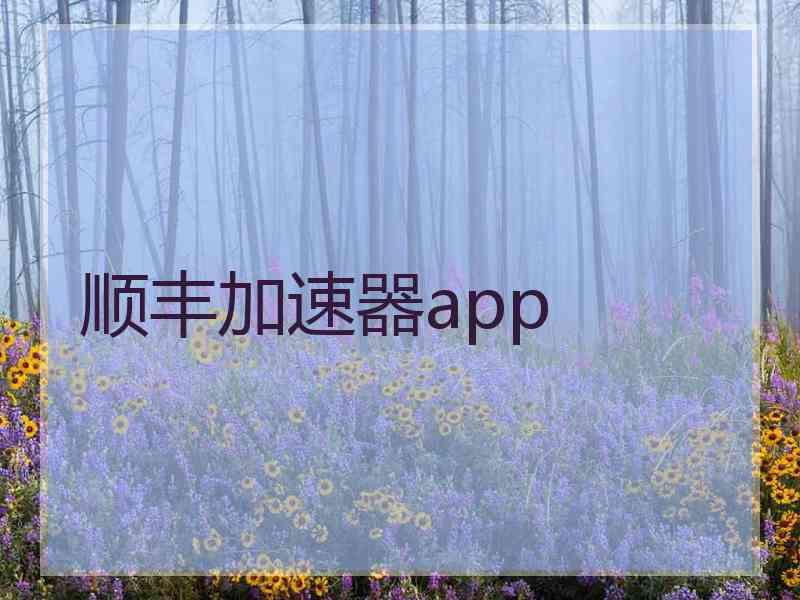 顺丰加速器app