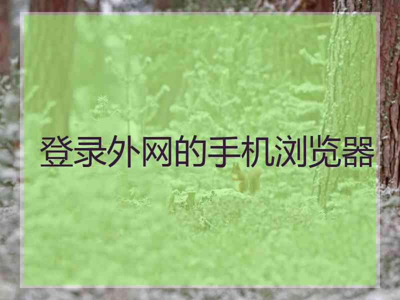 登录外网的手机浏览器