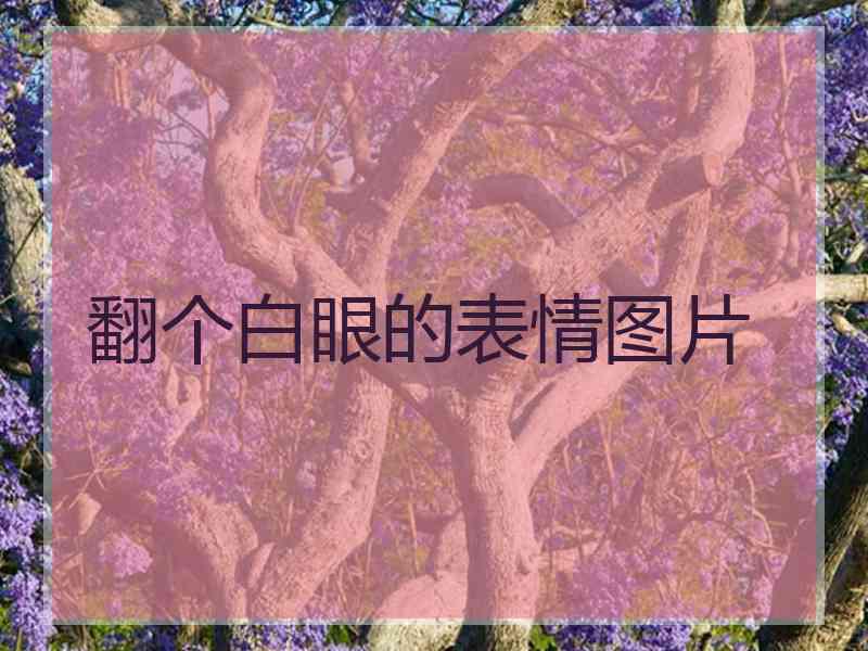 翻个白眼的表情图片