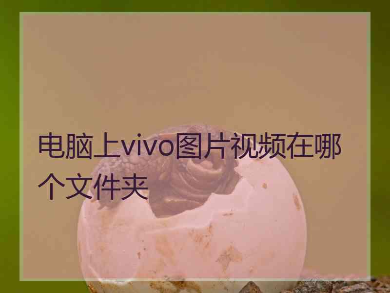电脑上vivo图片视频在哪个文件夹
