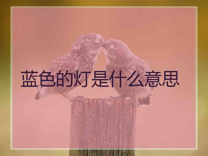 蓝色的灯是什么意思