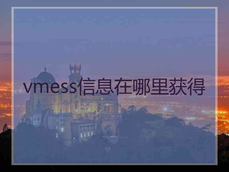 vmess信息在哪里获得