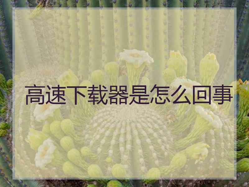 高速下载器是怎么回事