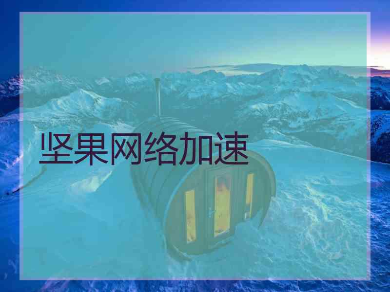 坚果网络加速